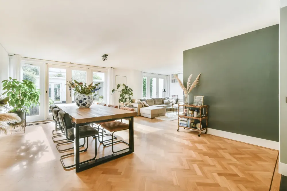 salon appartement